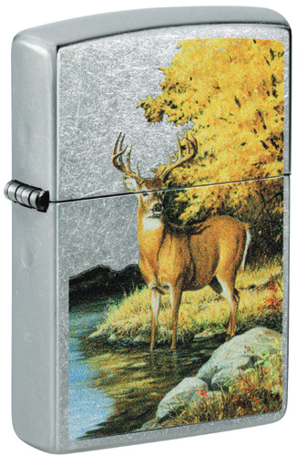 Linda Picken Street Chrome Color Image, model 46165